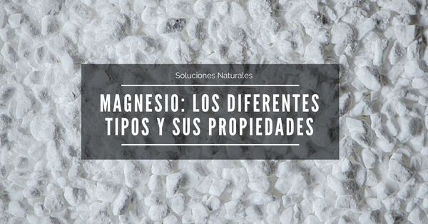 Lee más sobre el artículo Magnesio: descubre los diferentes tipos y sus beneficios