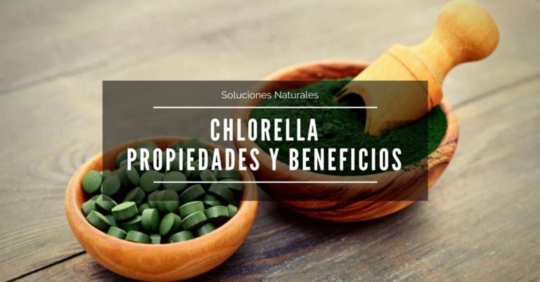 Lee más sobre el artículo Chlorella – Propiedades, beneficios y cómo tomar