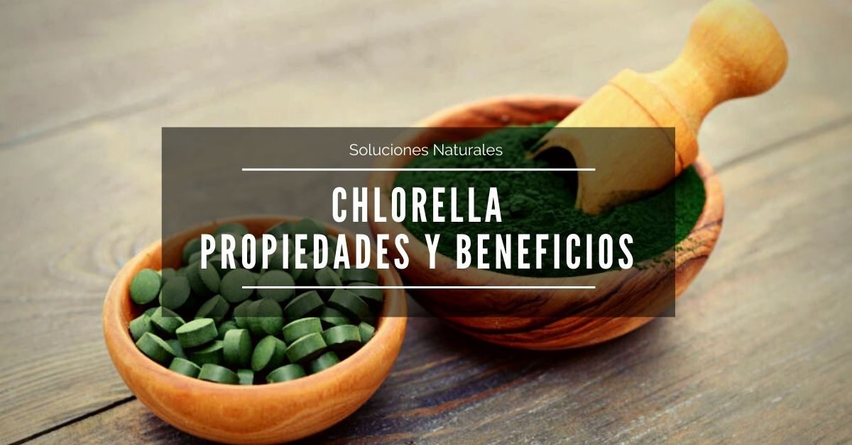 En este momento estás viendo Chlorella – Propiedades, beneficios y cómo tomar