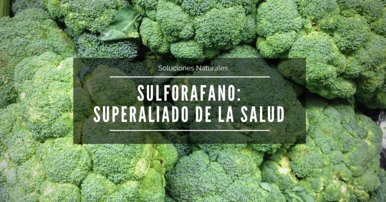 Lee más sobre el artículo Sulforafano, el superaliado de la salud