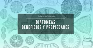 Lee más sobre el artículo Beneficios y propiedades Tierrra Diatomeas