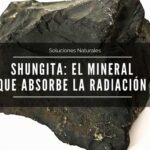 SHUNGIT: EL «AGUJERO NEGRO» DE LA RADIACIÓN ELECTROMAGNÉTICA