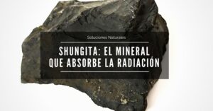 Lee más sobre el artículo SHUNGIT: EL «AGUJERO NEGRO» DE LA RADIACIÓN ELECTROMAGNÉTICA