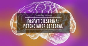 Lee más sobre el artículo Fosfatidilserina: La gran aliada de nuestro cerebro