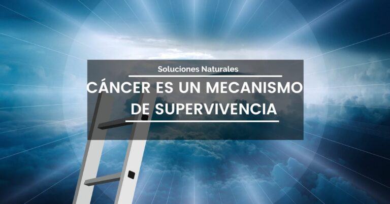 Lee más sobre el artículo El Cáncer es un mecanismo de Supervivencia